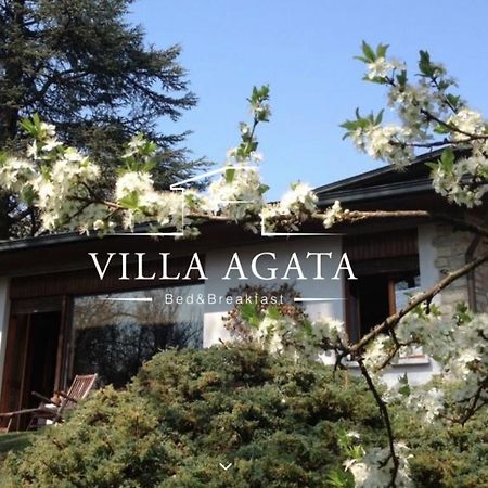 Villa Agata レッジョ・エミリア エクステリア 写真